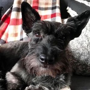 Meet your Posher, Deborah